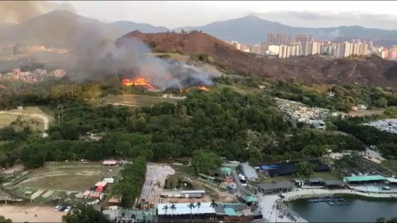 掃墓放炮火燒山 百萬跑車化為烏有