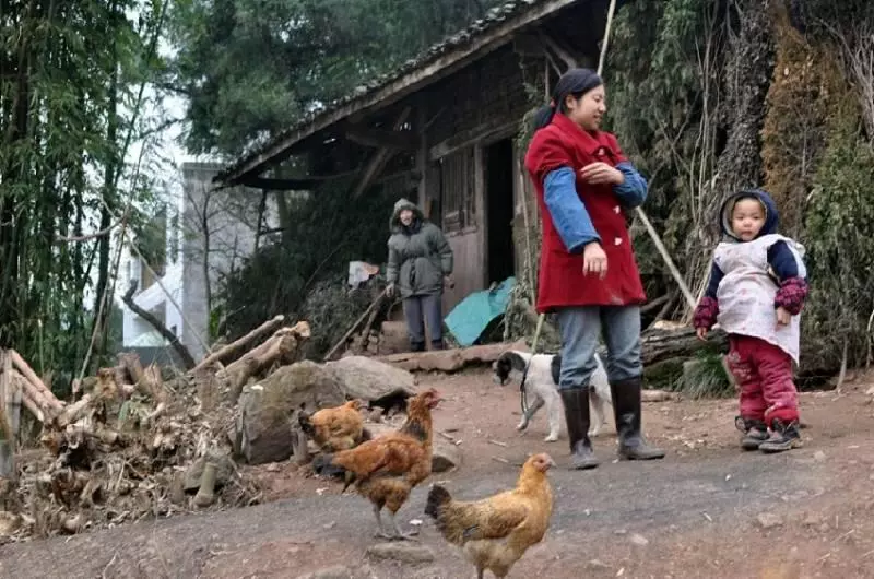 父親看不起農村女婿,吃飯時故意給女婿難堪,第二天談合同時傻住