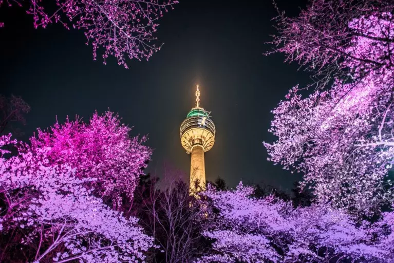 首爾櫻花節4月5日-11日
