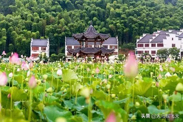 「婆婆,小叔應該去找個工作賺錢了」「不用你費心,我還養得起」