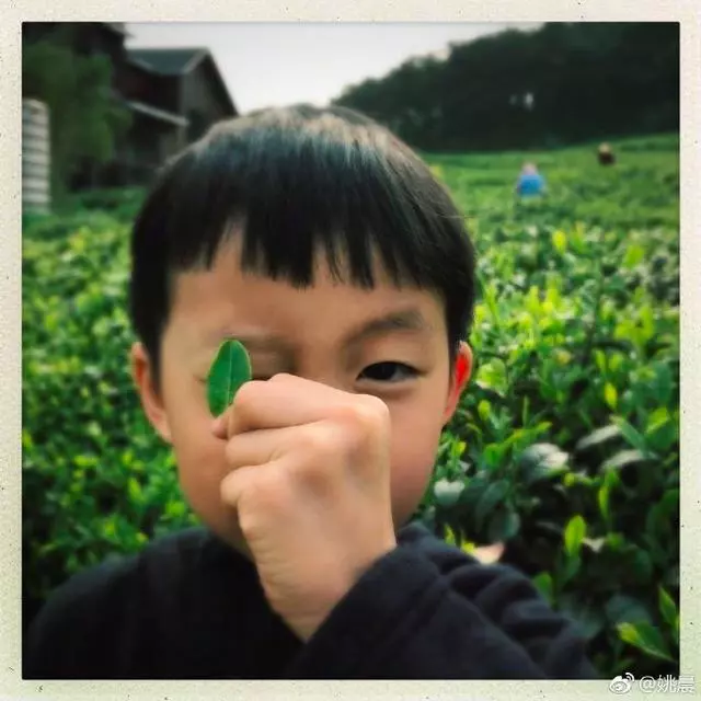 姚晨帶一雙兒女去郊遊,兒子超像爸爸曹郁,女兒標誌性嘴唇像媽媽!