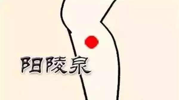 中醫介紹:《陰陵泉穴》的精要分析、您需要學習的基礎知識!