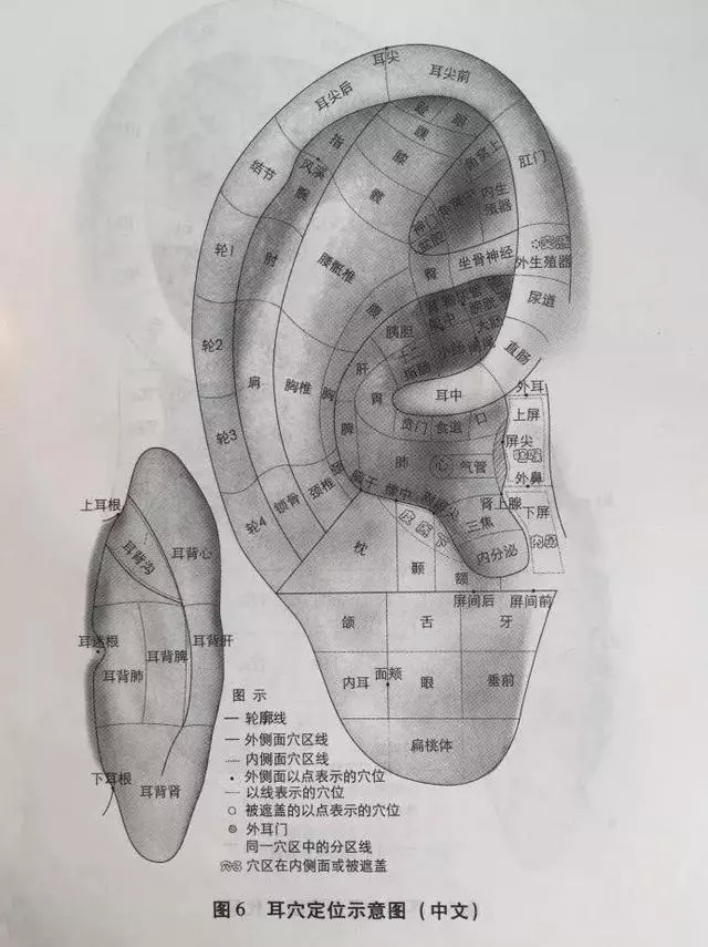 耳朵上有93個穴位,這樣按揉,等於給全身做了套「養生操」
