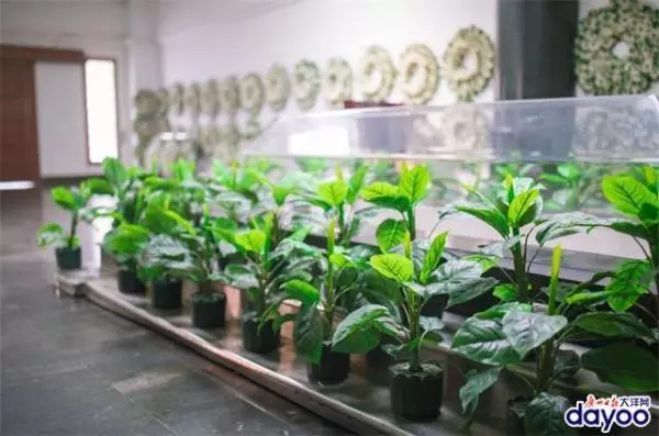 你希望在你的葬禮上放什麼歌?點贊最多的竟是「超級瑪麗」