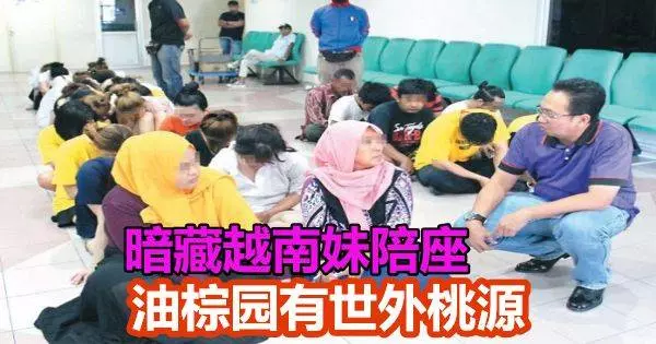 油棕園有世外桃源 暗藏越南妹陪座