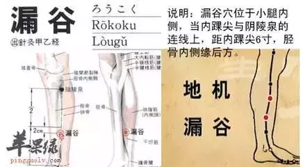 打通這條經絡 -重病,急病,怪病,難上身