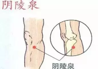打通這條經絡 -重病,急病,怪病,難上身