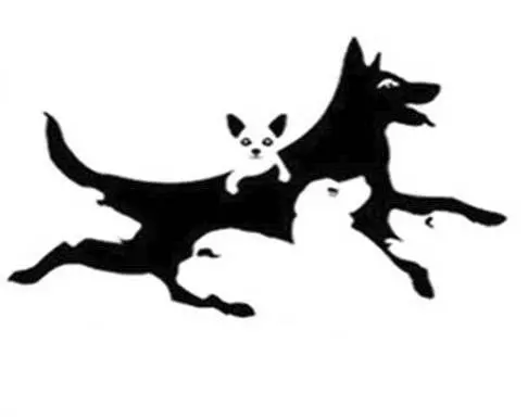 超凖測試:你看到幾隻狗?測你的心智年齡有多大