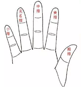 男性看左手,女性看右手,五指看你一生命運!快來看看