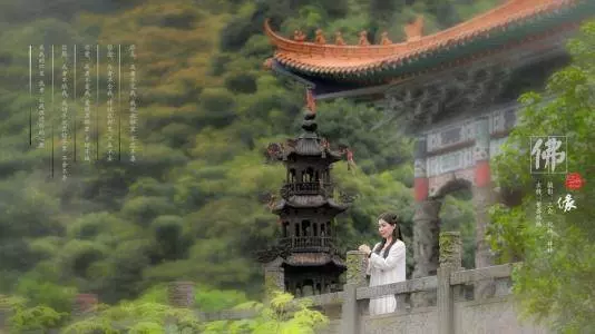 成功男人背後的女人,旺夫運最強的生肖女