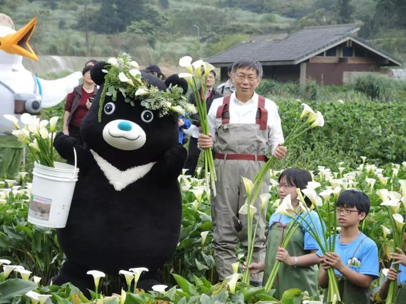 海芋有毒!毒物專家:少一動作恐中獎