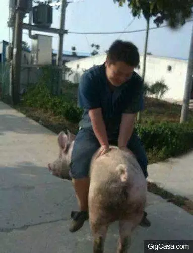 20張足夠讓你笑到飆淚的搞笑內涵圖~~~女神的亮點又暴露了
