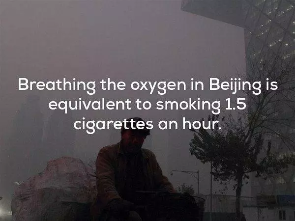 23個你朋友讓他今晚睡不著恐怖知識~~~~1. 有一個陰謀論是說,迪士尼的《白雪公主》其實是...