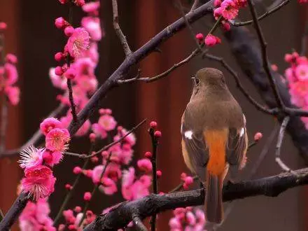 4月8號起大富大貴,5生肖運勢飈旺,橫財大發,收入暴漲!