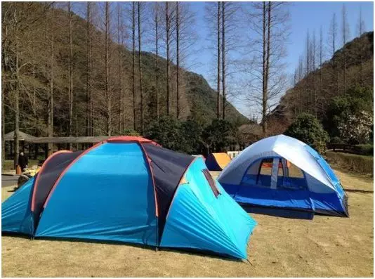 帳篷裡待一晚就「獎勵31萬」,很多人躍躍欲試,看到帳篷真面目,全都止步!