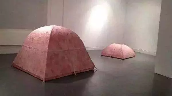 帳篷裡待一晚就「獎勵31萬」,很多人躍躍欲試,看到帳篷真面目,全都止步!