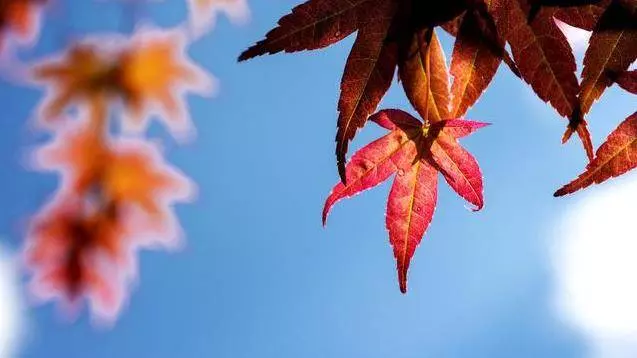 「借錢要忍,還錢要狠」,老祖宗留下的十句話,句句醒人,醍醐灌頂