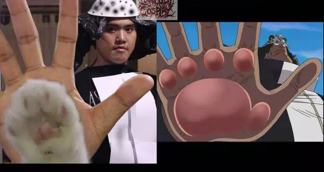 泰國小哥Cosplay海賊王玩出新境界,香蕉山治逼真,貓爪大熊搞笑