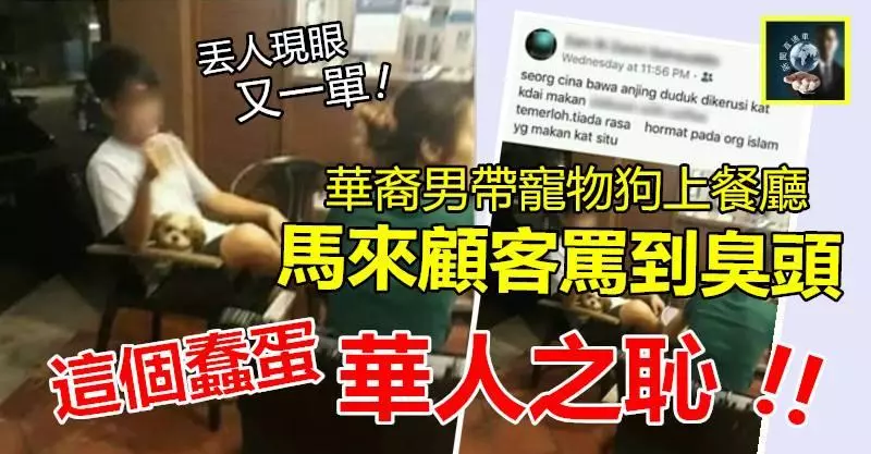【丟盡華人臉!!】這個大蠢蛋 !! 竟然帶寵物狗上餐廳用餐,還讓它坐椅子上,惹怒穆斯林顧客把他罵到狗血淋頭!! 活該~~