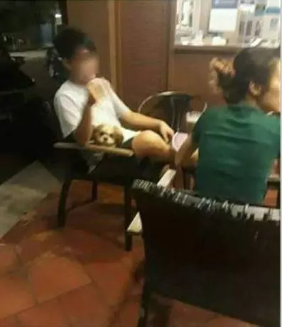 【丟盡華人臉!!】這個大蠢蛋 !! 竟然帶寵物狗上餐廳用餐,還讓它坐椅子上,惹怒穆斯林顧客把他罵到狗血淋頭!! 活該~~