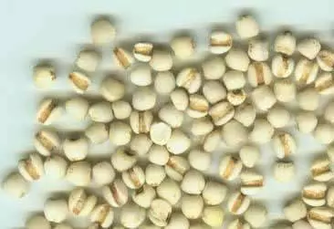 跟大家分享一個小秘方,超神的,連續喝了三個多星期,不僅白頭髮不見了、皮膚還變得有光澤了!
