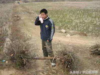 母親砍柴一月不見回,一日兒子山前發現身影,走到跟前他癱在地上