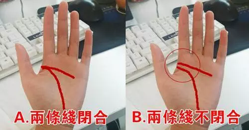 伸出你的手,手上這兩條線,預示你有多好命!測測看