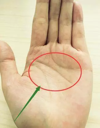 伸出你的手,手上這兩條線,預示你有多好命!測測看