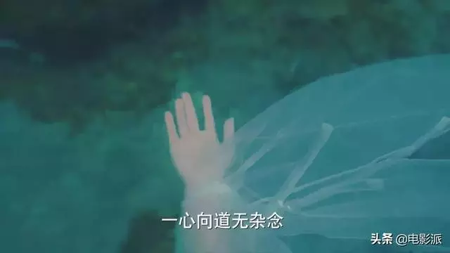於朦朧+鞠婧禕,霸道總裁蛇精病