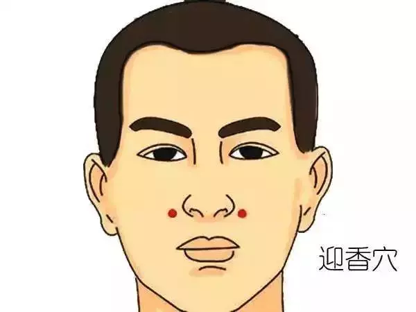 5分鐘按摩,幫你打通七竅,滋養五臟!