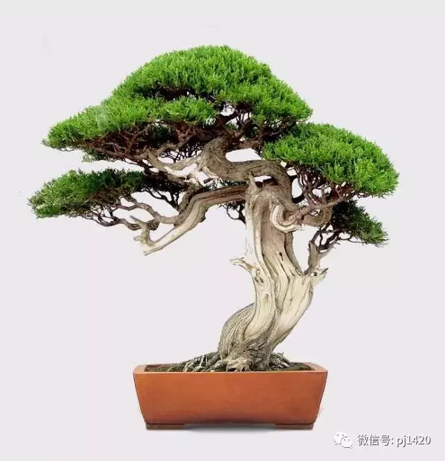 "雲頭雨腳"萬般風情