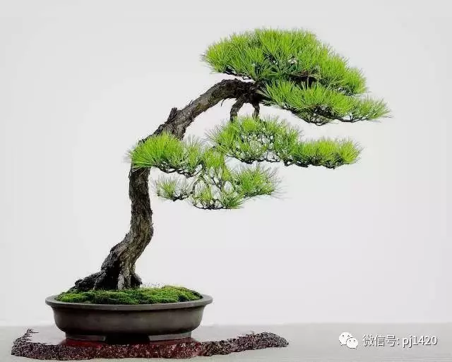 "雲頭雨腳"萬般風情