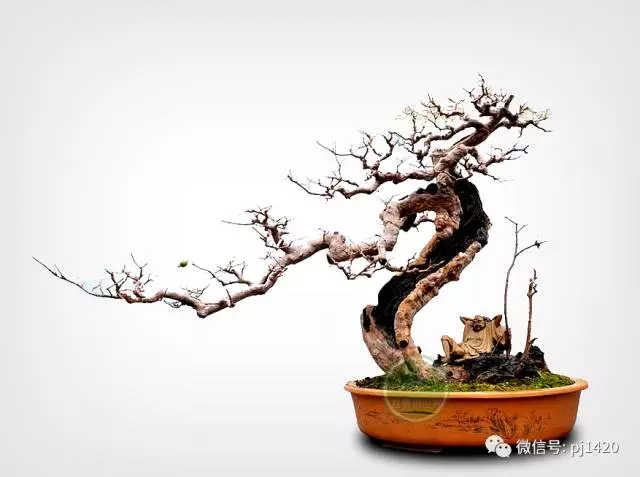 "雲頭雨腳"萬般風情