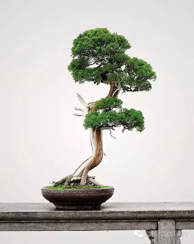 "雲頭雨腳"萬般風情