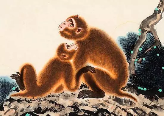 這些生肖心最好,不害人~