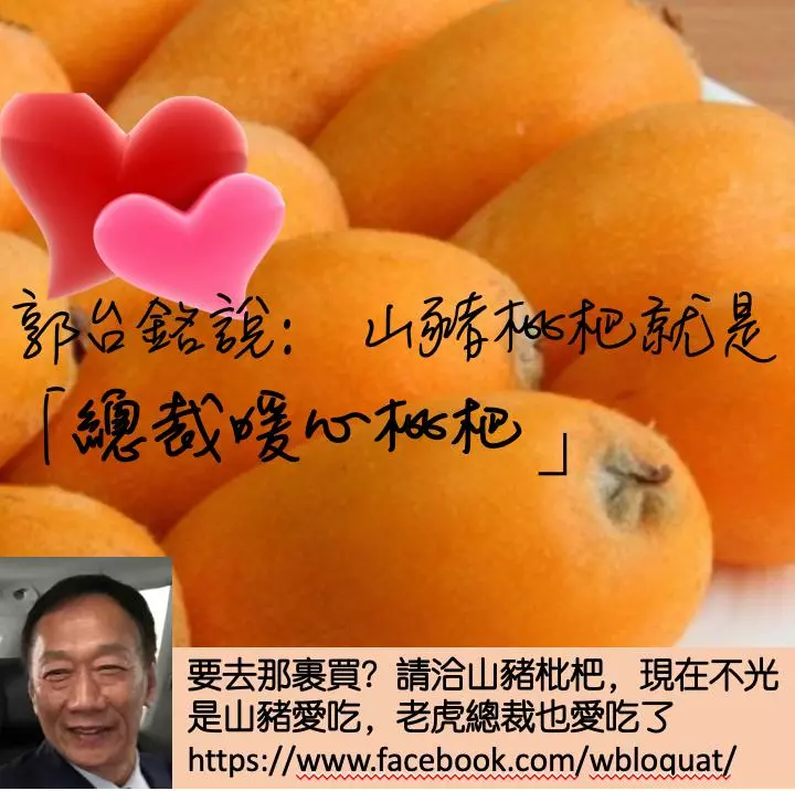 不收禮的郭董為她破例收下枇杷 背後超暖原因曝光
