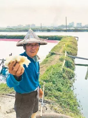 六輕這一爆 嚇死2公里外數千尾魚?