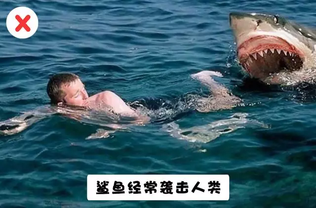即便是許多高學歷的人也在相信的10個電影里的情節,但都是錯誤的