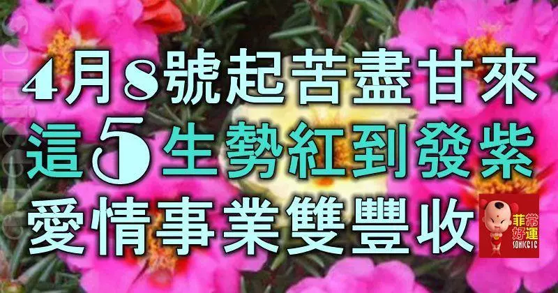 4月8號起苦盡甘來,這5生肖運勢紅到發紫,橫財大發,愛情事業雙豐收!