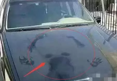 30張搞笑圖,妹子明知道衣服不防水還硬要游泳,難怪差一點就要被看穿啦了!