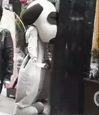 30張搞笑圖,妹子明知道衣服不防水還硬要游泳,難怪差一點就要被看穿啦了!