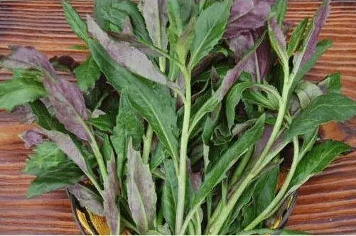 老中醫提醒:被列入「致癌黑名單」的3種蔬菜,含有大量甲醛,早知早受益