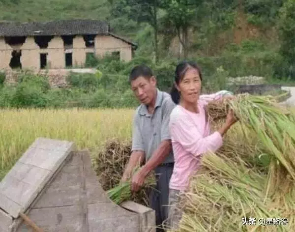 兒媳生了女兒,坐月子時婆婆讓公公來照顧,一個月後婆婆回來傻了