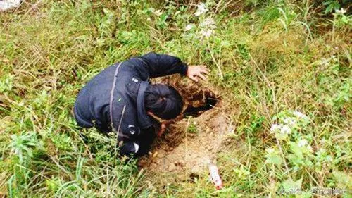 漢子進入深山捕蛇,追蛇進入山洞,眼前物事讓他明白一事