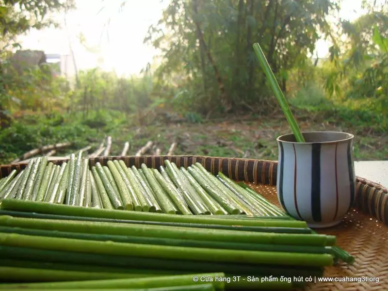 「植物吸管」幫解決塑膠垃圾問題 他的發明引起大家注意:超棒的點子