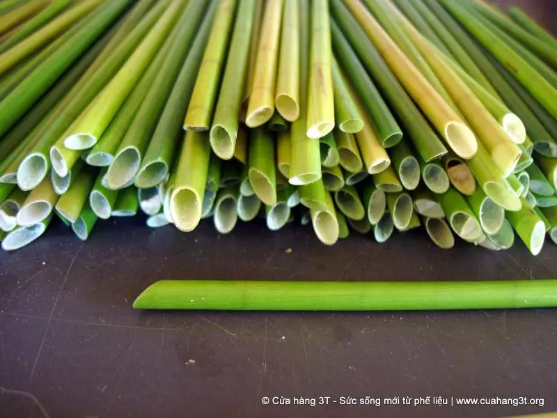 「植物吸管」幫解決塑膠垃圾問題 他的發明引起大家注意:超棒的點子