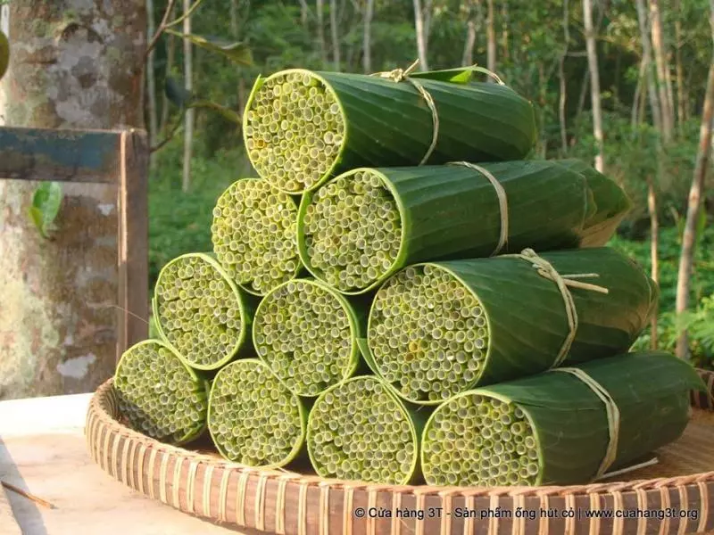 「植物吸管」幫解決塑膠垃圾問題 他的發明引起大家注意:超棒的點子