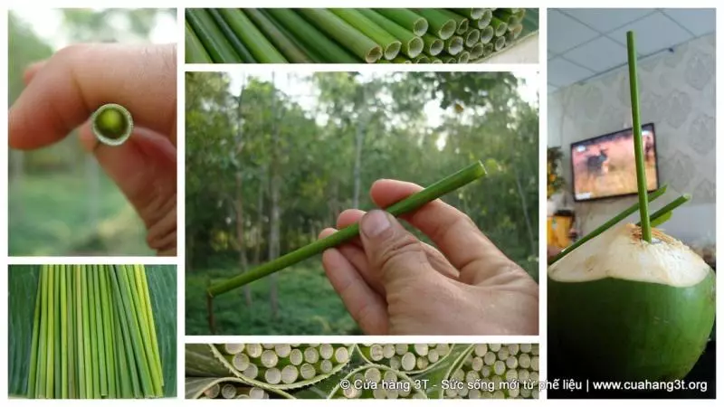 「植物吸管」幫解決塑膠垃圾問題 他的發明引起大家注意:超棒的點子