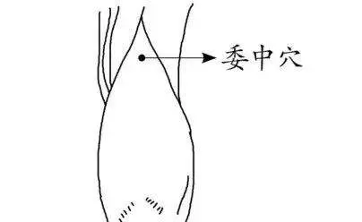 濕氣最怕3種水,體內濕氣除光光!愛犯困、腰酸的人最該試試