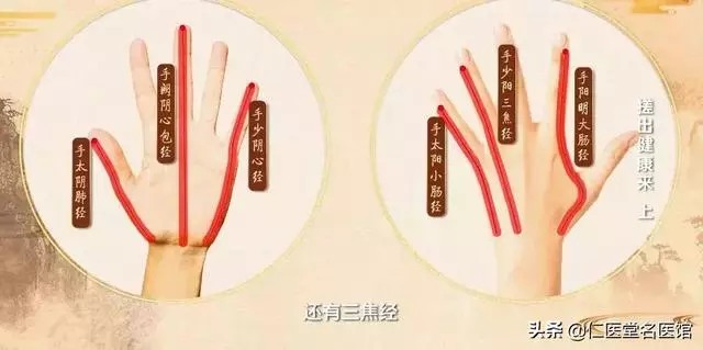 專家演示:這樣搓手效果更好;養氣血、通經絡、調五臟!